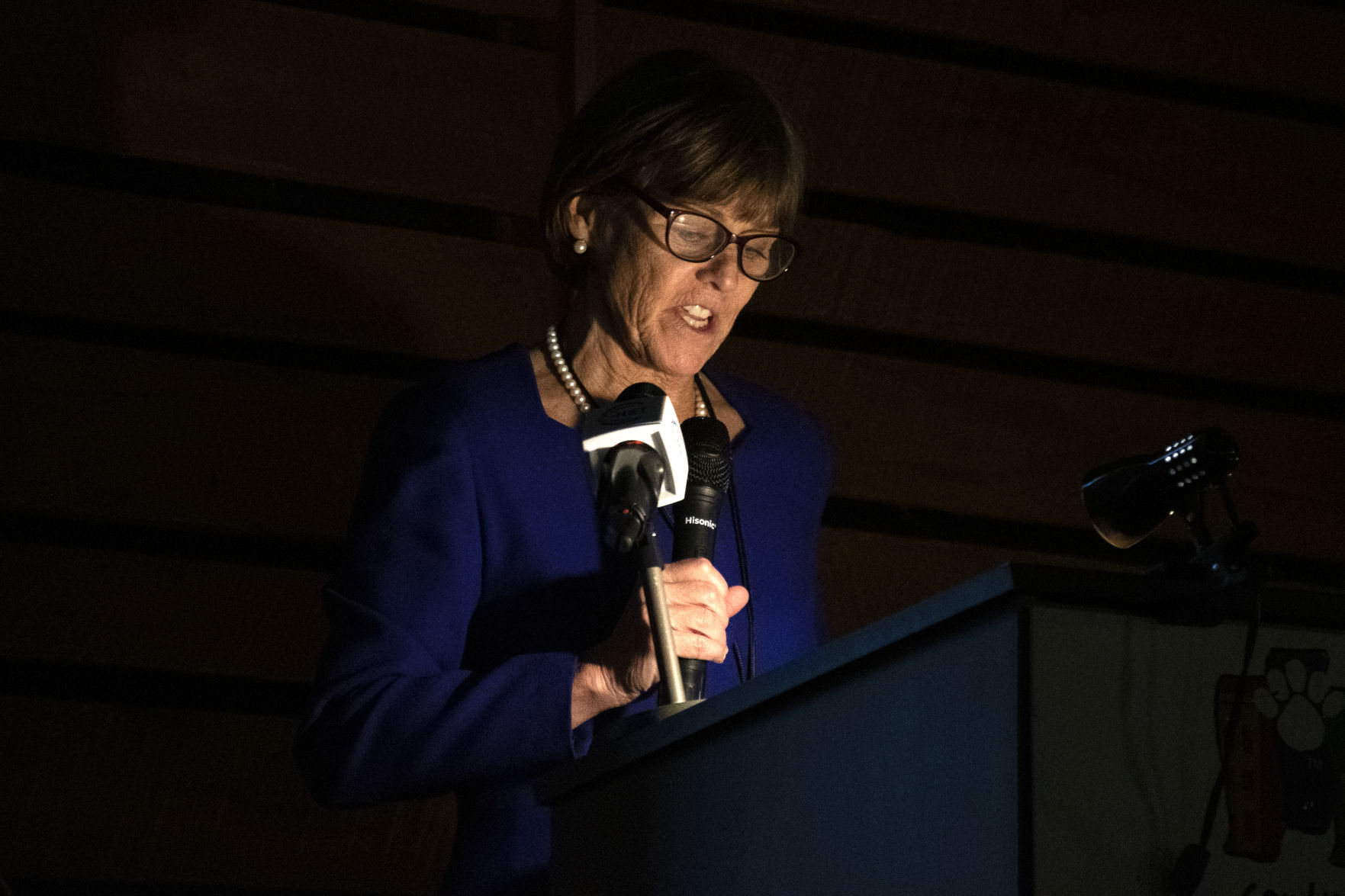 Historic Preservation Awards, Katie O'Toole